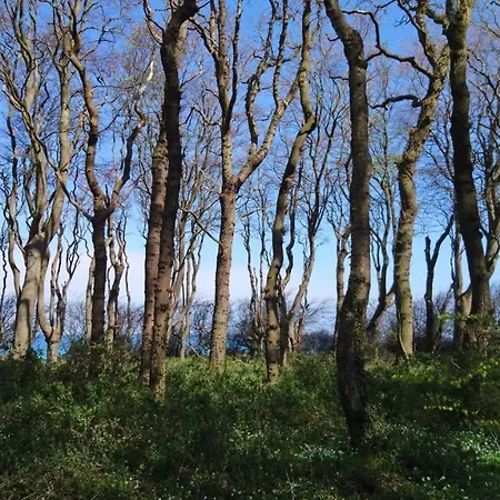 Apartman Strandnah - Börgerende-Rethwisch