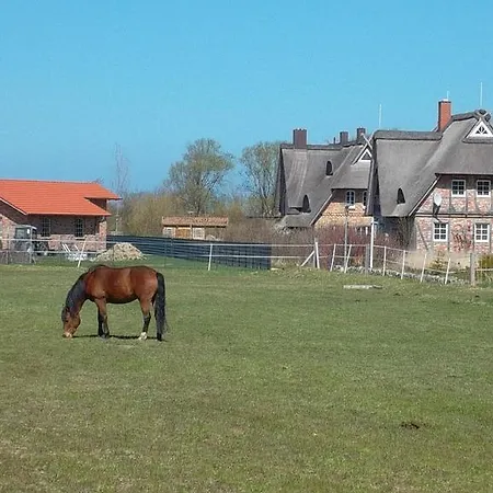 Apartment Strandnah - Boergerende-Rethwisch