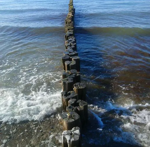 Lejlighed Strandnah - Börgerende-Rethwisch